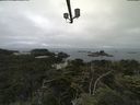 ./images/calvert/lookout/20210709/lookout20210709_100501.jpg