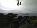 ./images/calvert/lookout/20210709/lookout20210709_151501.jpg