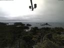 ./images/calvert/lookout/20210709/lookout20210709_152501.jpg