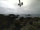 ./images/calvert/lookout/20210709/lookout20210709_153501.jpg