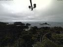 ./images/calvert/lookout/20210709/lookout20210709_154501.jpg