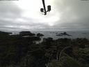 ./images/calvert/lookout/20210709/lookout20210709_161001.jpg