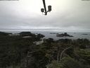 ./images/calvert/lookout/20210710/lookout20210710_090502.jpg