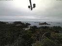 ./images/calvert/lookout/20210710/lookout20210710_091501.jpg