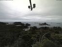 ./images/calvert/lookout/20210710/lookout20210710_103501.jpg
