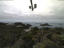 ./images/calvert/lookout/20210711/lookout20210711_074502.jpg