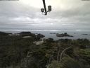 ./images/calvert/lookout/20210711/lookout20210711_092501.jpg