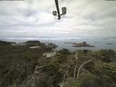 ./images/calvert/lookout/20210711/lookout20210711_100002.jpg