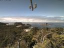 ./images/calvert/lookout/20210711/lookout20210711_121001.jpg