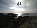 ./images/calvert/lookout/20210711/lookout20210711_175501.jpg