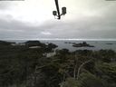 ./images/calvert/lookout/20210712/lookout20210712_091001.jpg