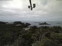 ./images/calvert/lookout/20210712/lookout20210712_104501.jpg