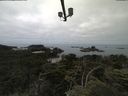 ./images/calvert/lookout/20210712/lookout20210712_111001.jpg