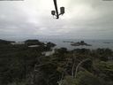 ./images/calvert/lookout/20210712/lookout20210712_120002.jpg
