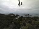 ./images/calvert/lookout/20210712/lookout20210712_120502.jpg