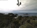 ./images/calvert/lookout/20210712/lookout20210712_135002.jpg