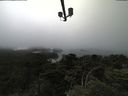 ./images/calvert/lookout/20210712/lookout20210712_160502.jpg