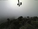 ./images/calvert/lookout/20210712/lookout20210712_161002.jpg