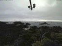 ./images/calvert/lookout/20210713/lookout20210713_200502.jpg