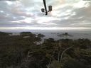 ./images/calvert/lookout/20210714/lookout20210714_055002.jpg
