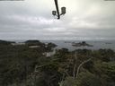 ./images/calvert/lookout/20210714/lookout20210714_081501.jpg