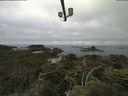 ./images/calvert/lookout/20210714/lookout20210714_082001.jpg