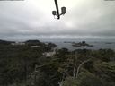 ./images/calvert/lookout/20210714/lookout20210714_094501.jpg
