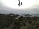 ./images/calvert/lookout/20210714/lookout20210714_111002.jpg