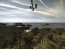 ./images/calvert/lookout/20210714/lookout20210714_144501.jpg