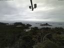 ./images/calvert/lookout/20210715/lookout20210715_111001.jpg