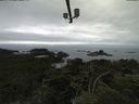 ./images/calvert/lookout/20210715/lookout20210715_122001.jpg