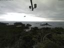 ./images/calvert/lookout/20210715/lookout20210715_141002.jpg