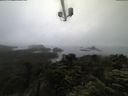 ./images/calvert/lookout/20210716/lookout20210716_061501.jpg