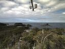 ./images/calvert/lookout/20210717/lookout20210717_102001.jpg