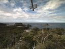 ./images/calvert/lookout/20210717/lookout20210717_104501.jpg