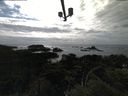 ./images/calvert/lookout/20210717/lookout20210717_164502.jpg