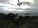 ./images/calvert/lookout/20210717/lookout20210717_165502.jpg