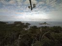 ./images/calvert/lookout/20210718/lookout20210718_083501.jpg