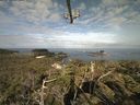 ./images/calvert/lookout/20210718/lookout20210718_084001.jpg