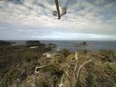 ./images/calvert/lookout/20210718/lookout20210718_095501.jpg