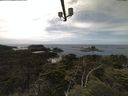./images/calvert/lookout/20210718/lookout20210718_132502.jpg