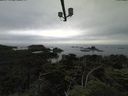 ./images/calvert/lookout/20210718/lookout20210718_170502.jpg