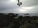 ./images/calvert/lookout/20210718/lookout20210718_172501.jpg