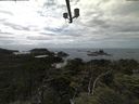 ./images/calvert/lookout/20210719/lookout20210719_140501.jpg