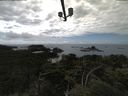 ./images/calvert/lookout/20210720/lookout20210720_150502.jpg