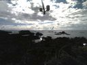 ./images/calvert/lookout/20210720/lookout20210720_180002.jpg