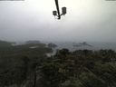 ./images/calvert/lookout/20210723/lookout20210723_145502.jpg