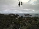 ./images/calvert/lookout/20210725/lookout20210725_100001.jpg