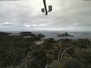 ./images/calvert/lookout/20210725/lookout20210725_102001.jpg