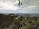 ./images/calvert/lookout/20210725/lookout20210725_113501.jpg